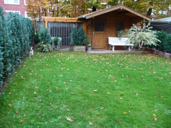 27. Blick aufs Grundstck durch den Rosenbogen